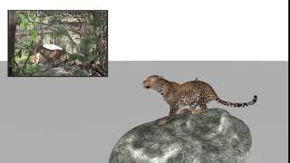 Leopard Animation by Daniel Amor
