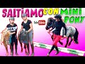 FACCIAMO SALTARE I NOSTRI MINI PONY - DIVERTIMENTO ASSICURATO!!!