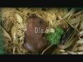 Los 16 primeros días de un bebé hamster
