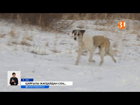 Бейне: КСРО -ның бас офицері қалай самурайға айналды: Зигзагтар тағдырдың жазушысы Генрих Люшков