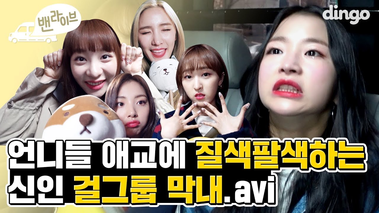 [ENG SUB] 마마무 비투비가 롤모델이라는 BVNDIT 밴디트의 귀염뽀짝 Hocus Pocus 호커스포커스 라이브! I dingomusic I 밴라이브