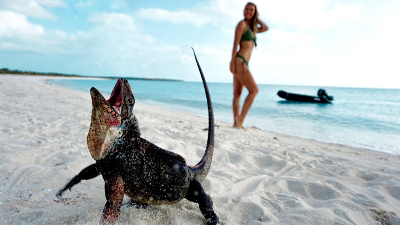 Boat Life Ep.4 : Bahamas rock iguanas and stormy weather in Black Point Exuma