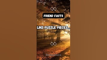 like puzzle pieces... #shorts #qoutes #inspiration