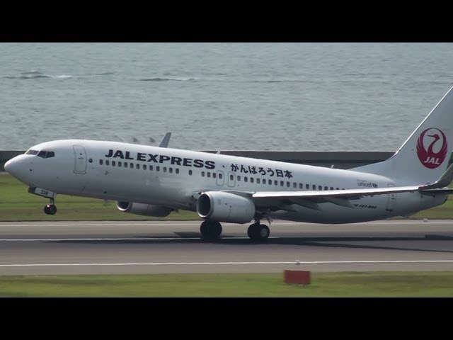 JAL 日本航空　鶴丸　コックピット　BIGポスター JAL 日本航空 鶴丸 コックピット BIGポスター