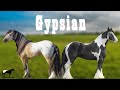 Futura Raza &quot;Gypsian&quot; Caballos (Gypsy/frison)🐴-Del Cerro Soy