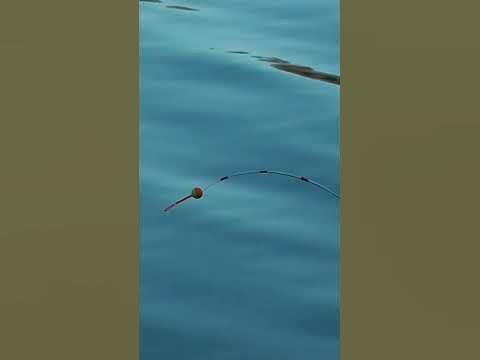 рыбалка на боковой кивок - YouTube