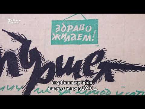 Що е 'Стършел'