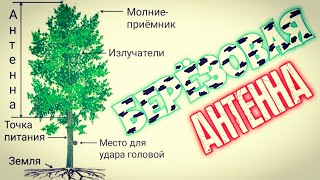 Дерево в качестве антенны!