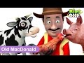 Old MacDonald Had A Farm |  English Nursery Rhymes & Baby Songs for childrens | KidsOne