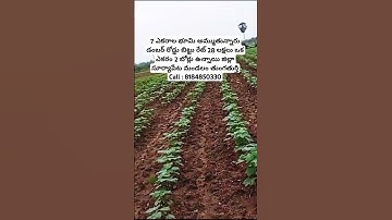 Thumbnail of 7 Acrs Land Sale || #viralvideo #realestate #agriculture #landforsale #telangana #suryapeta #viral