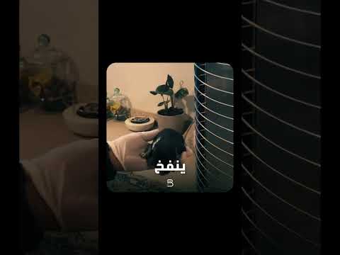 الراحمون يرحمهم الرحمن ارحموا من في الأرض يرحمكم من في السماء 