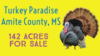 Mississippi Hunting Land For Sale. Gillsburg, MS. 142 acres in Amite County.