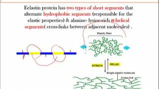 BIO734_Topic153