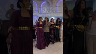 Beautiful Kurdish Dance 🩰😍 #dance #kurd #wedding #kurdish #kurdistan #love #videos #viral