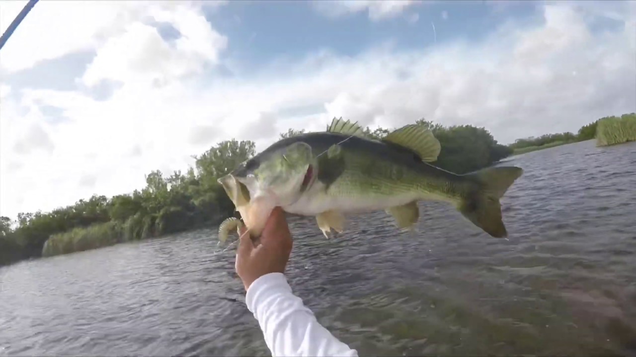 Kayak Fishing Everglades National Park. YouTube