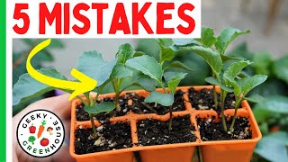 Top 5 Seed Starting Mistakes Beginners Make