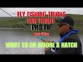 Fly fishing tricks for trout pro tip  what to do before a hatch