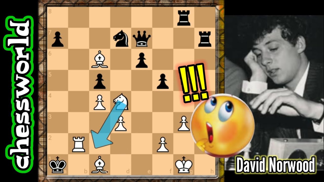 BRUTAL!! KNIGHT FINISHES THE KING CHASE!! NORWOOD VS MARSH 1992|| BEAUTIFUL CHESS TACTICS