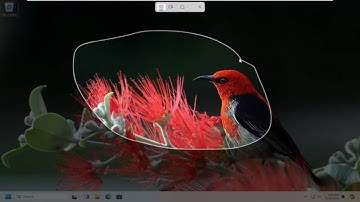 How to Use the Win+Shift+S Keyboard Shortcut to Capture Screenshots in Windows 11/10 [Guide]