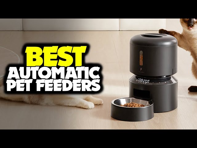 Best Automatic Pet Feeders 2022