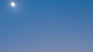 Hamabe - The Sushi Club