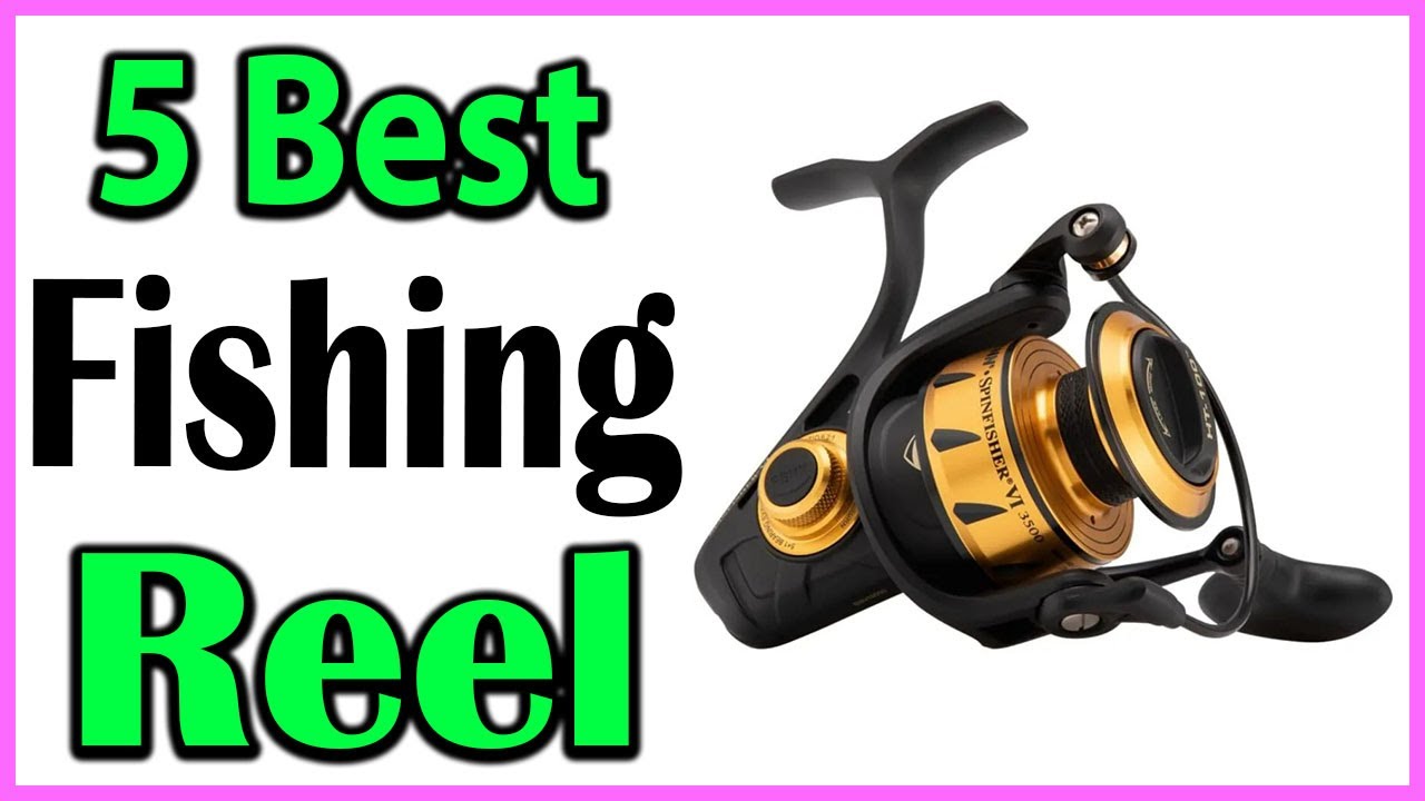 TOP 5 Best Fishing Reel Review 2024 - YouTube