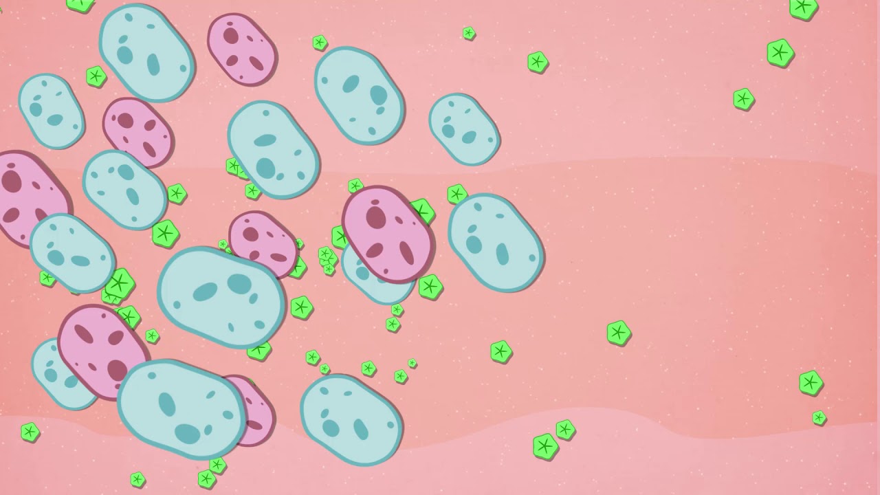 Neora Prolistic Lotion Product Video