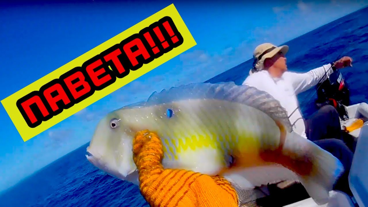 Nabeta and Kona Crab, ON FIRE FISHING HAWAII, EP. 12 YouTube