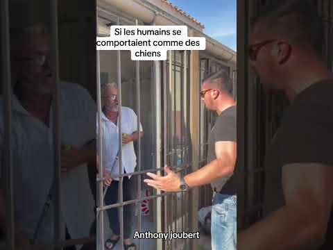 Si les humains se comportaient comme des chiens