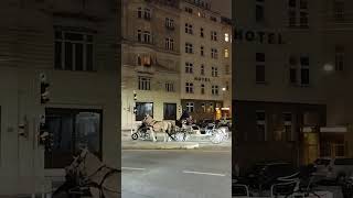 ЛОШАДИ на Дорогах Вены это Нормально Viyana Yollarında ATlar Normaldir) Pferde auf den Straßen Wiens
