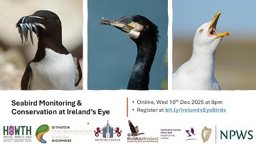 Seabird Monitoring & Conservation at Ireland’s Eye (2025)