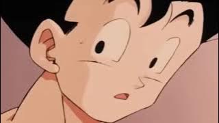Dragon Ball Z Saga de Majin Boo Completa En Español Latino