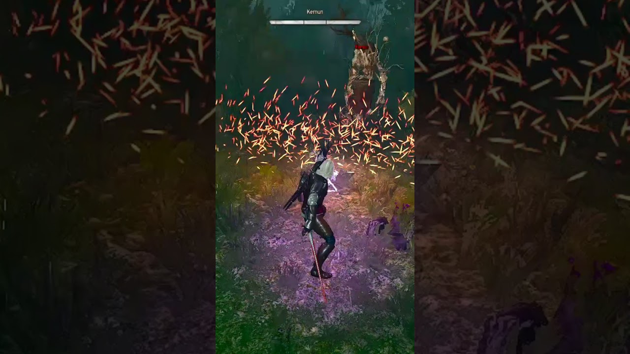 Geralt vs Kernun - Lord of the Woods Contract