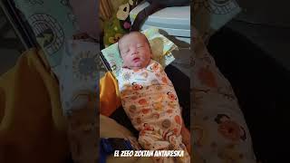EL. ZEEO ZOLTAN ANTARESKA lahir 17 Agustus 2024 ❤️ #cutebaby #luvia #amir #baby #newborn