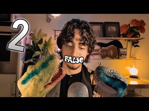 THE FALSE ASMR 2
