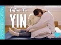 Intro to Yin - Yin Yoga