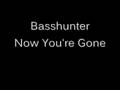 Official basshunter  now youre gone