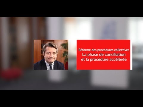 Réforme de la prévention des difficultés des entreprises et des procédures collectives