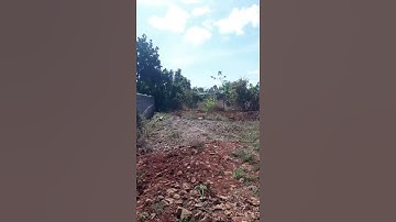 bán đất 4tỷ2 lộc châu,bảo lộc,lâm đồng lh 0394538643 BĐS Cường Thịnh