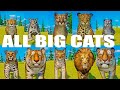 All big cats speed races in planet zoo the ultimate big cat speed races included tiger lion lynx