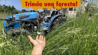 Landini 2-55 con trincia RCM - Un mare di Erba!