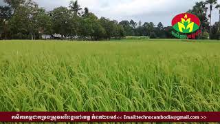 Download lagu khmer24vn khmer24vn