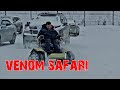 venom safari