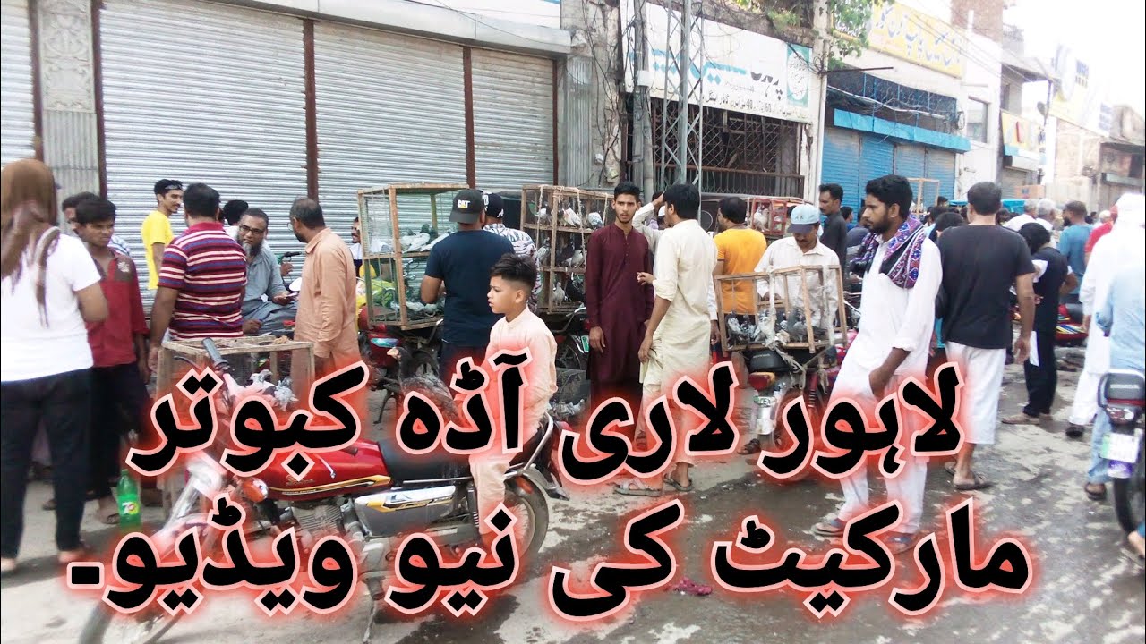 Larri Adda Lahore Larri adda kabootar market ki video/ - YouTube