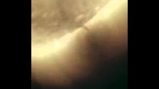 AIA 193/211/94 (2012-03-19 10:13:38 - 2012-03-20 09:31:02 UTC)