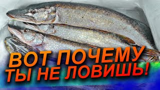 С ЭТИМ НАБОРОМ ПРИМАНОК ТЫ ВСЕГДА БУДЕШЬ С РЫБОЙ! Как ВСЕГДА ловить БОЛЬШЕ РЫБЫ? Рыбалка на СПИННИНГ