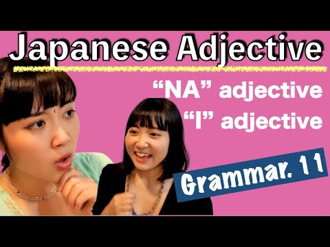 Japanese Adjective. I Adjective \u0026 NA Adjective. い形容詞・な形容詞 Grammar.11(#045)