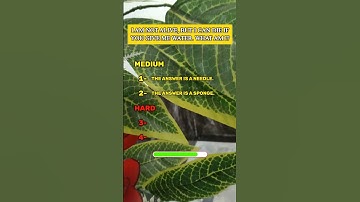 Can You Solve This Hard Riddle 😎❓ #quizchallenge #quiz #triviatricks #brainteasers #riddlejourney