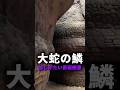 まるで生き物のような世界の巨大岩
