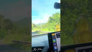 Driving Through Gia Bắc Pass to Da Lat | Peaceful &amp; Untouched 🚗🎶🫧